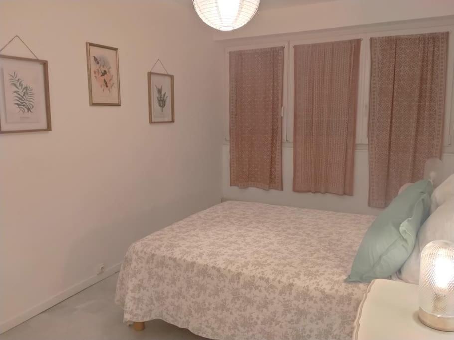 Appartement T3 Plein Centre แซ็งต์-ราฟาเอล ภายนอก รูปภาพ